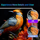 TeeView TV500UT 50" 4K UHD HDR Smart Tizen TV Dolby Audio WiFi Gaming Hub Black