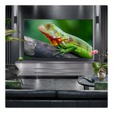 LG QNED80 86QNED80A6A 86" QNED 4K HDR Smart TV webOS AI VRR ALLM eARC WiFi Black